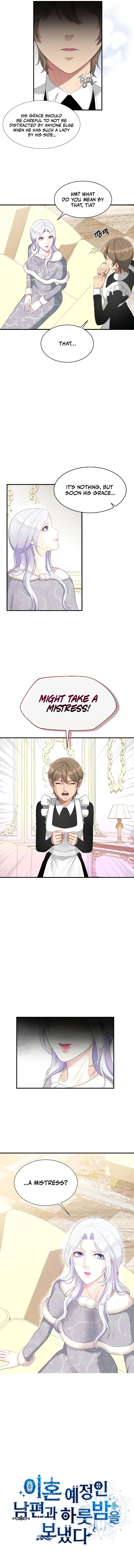I Spent the Night with My Soon-to-be Ex-Husband Chapter 2 - Page 10