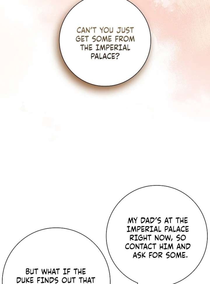 I Tried to Twist the Original Story But Ended Up Seducing the Northern Duke Chapter 27 - Page 81