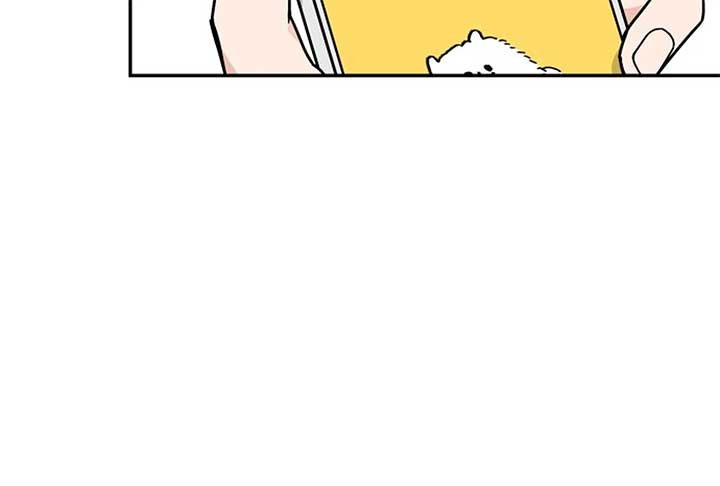 I Want to be the Director’s Husband Chapter 1 - Page 31