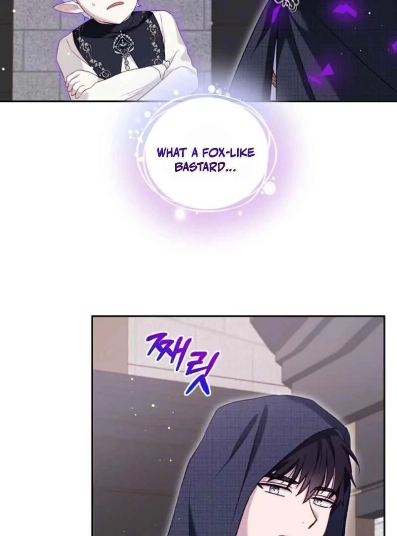 I Was Reincarnated as a Baby Fox God Chapter 96 - Page 47