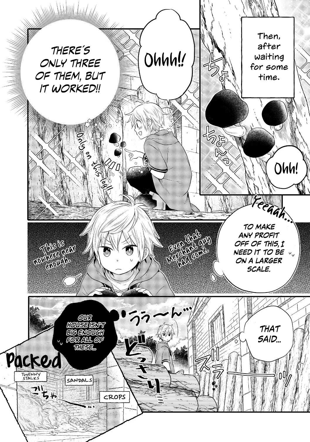 I Was Reincarnated as a Poor Farmer in a Different World, So I Decided to Make Bricks to Build a Castle Chapter 2 - Page 17