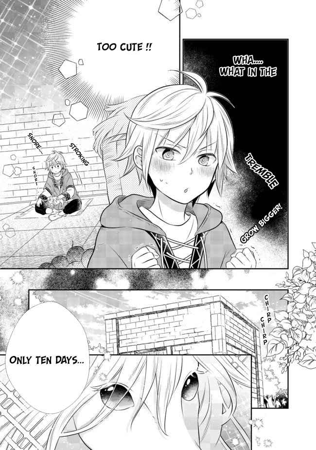 I Was Reincarnated as a Poor Farmer in a Different World, So I Decided to Make Bricks to Build a Castle Chapter 4.1 - Page 9