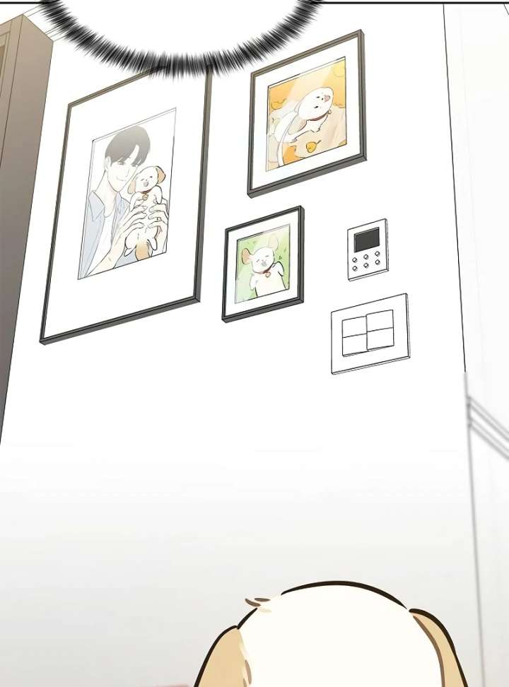 I Will Become Your Dog, Boss! Chapter 10 - Page 16