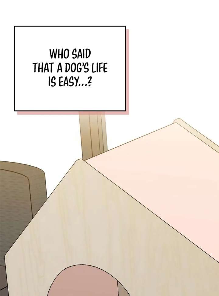 I Will Become Your Dog, Boss! Chapter 10 - Page 7