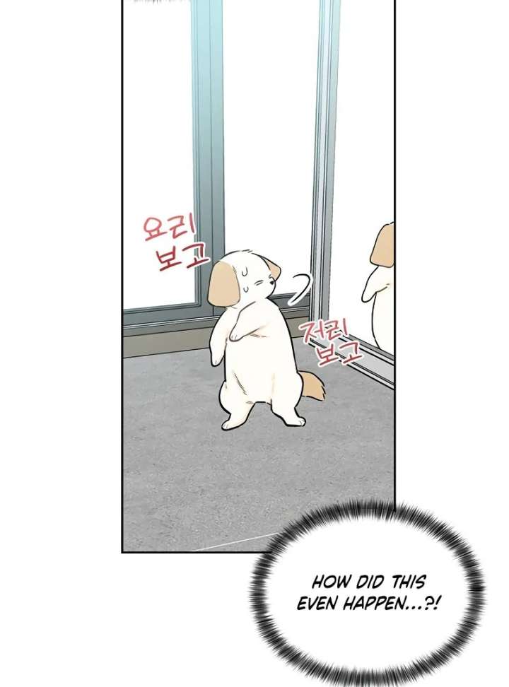 I Will Become Your Dog, Boss! Chapter 2 - Page 108