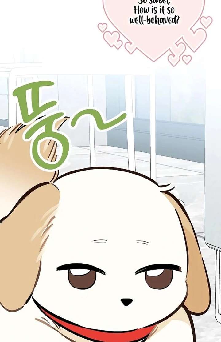 I Will Become Your Dog, Boss! Chapter 29 - Page 66