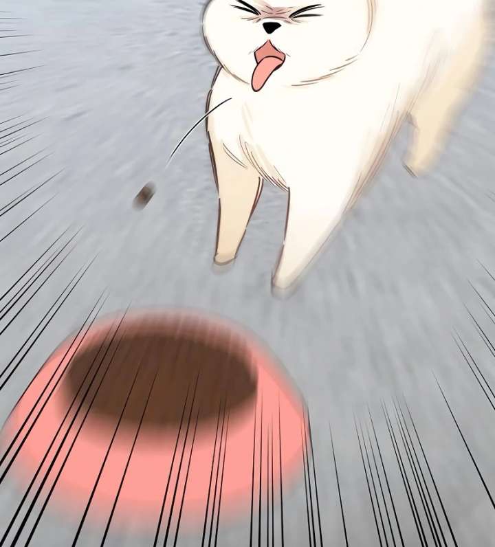 I Will Become Your Dog, Boss! Chapter 3 - Page 11