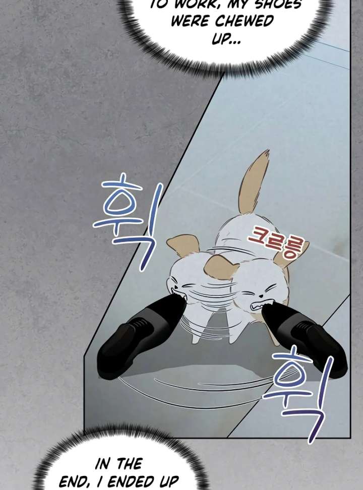 I Will Become Your Dog, Boss! Chapter 3 - Page 31