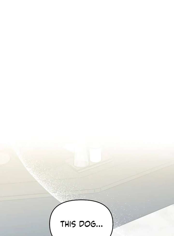 I Will Become Your Dog, Boss! Chapter 4 - Page 2