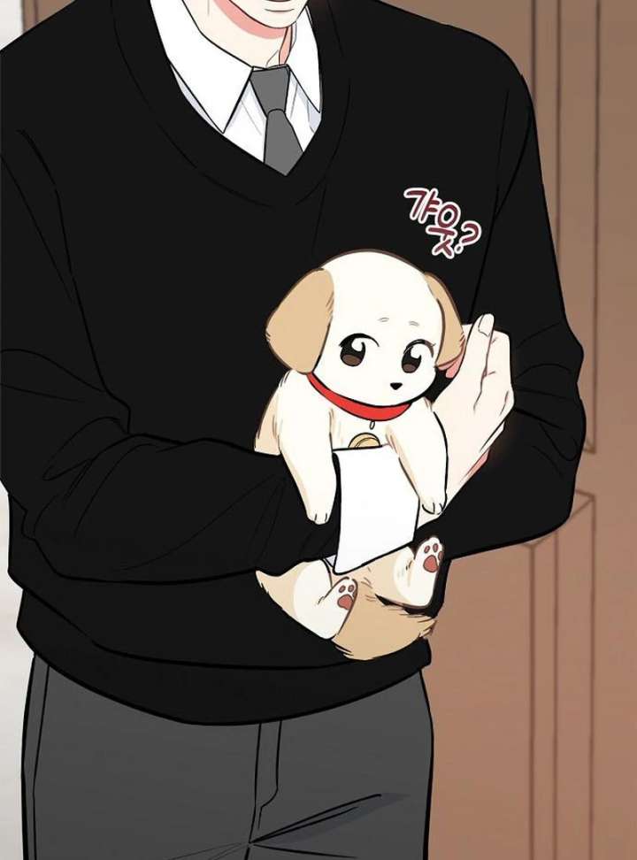 I Will Become Your Dog, Boss! Chapter 44 - Page 37