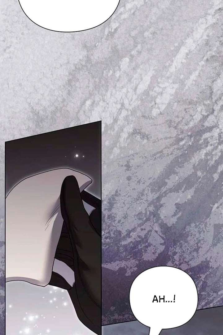 I Will Disappear For You, Your Grace the Grand Duke Chapter 18 - Page 44