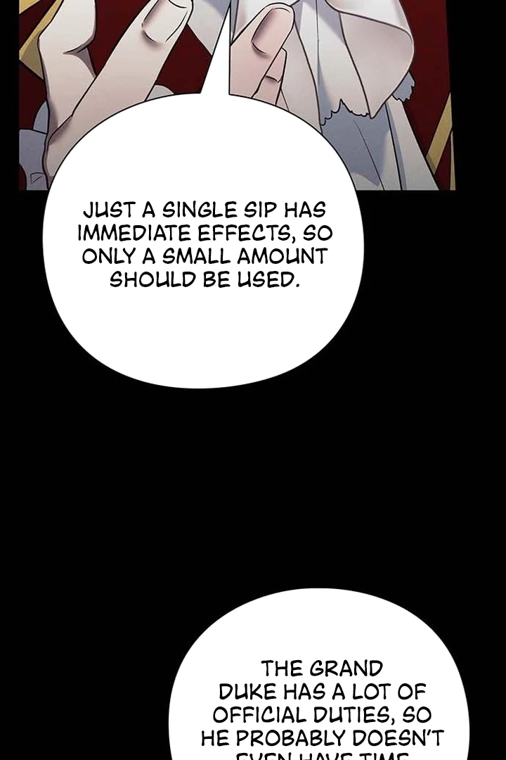 I Will Disappear For You, Your Grace the Grand Duke Chapter 2 - Page 11