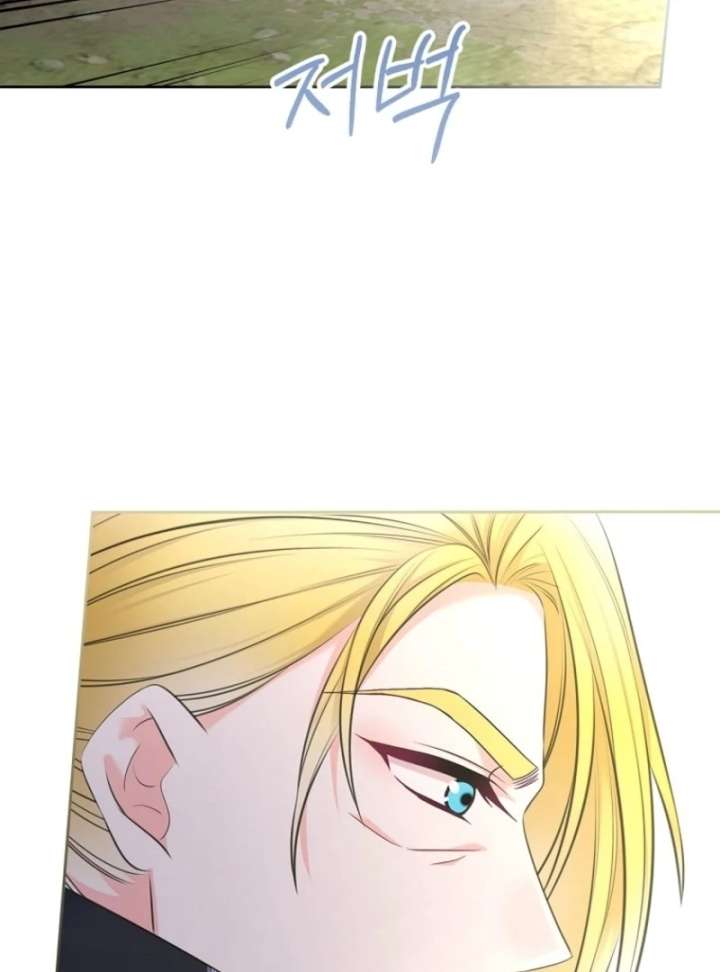 I Will Divorce the Female Lead’s Siscon Brother Chapter 82 - Page 46