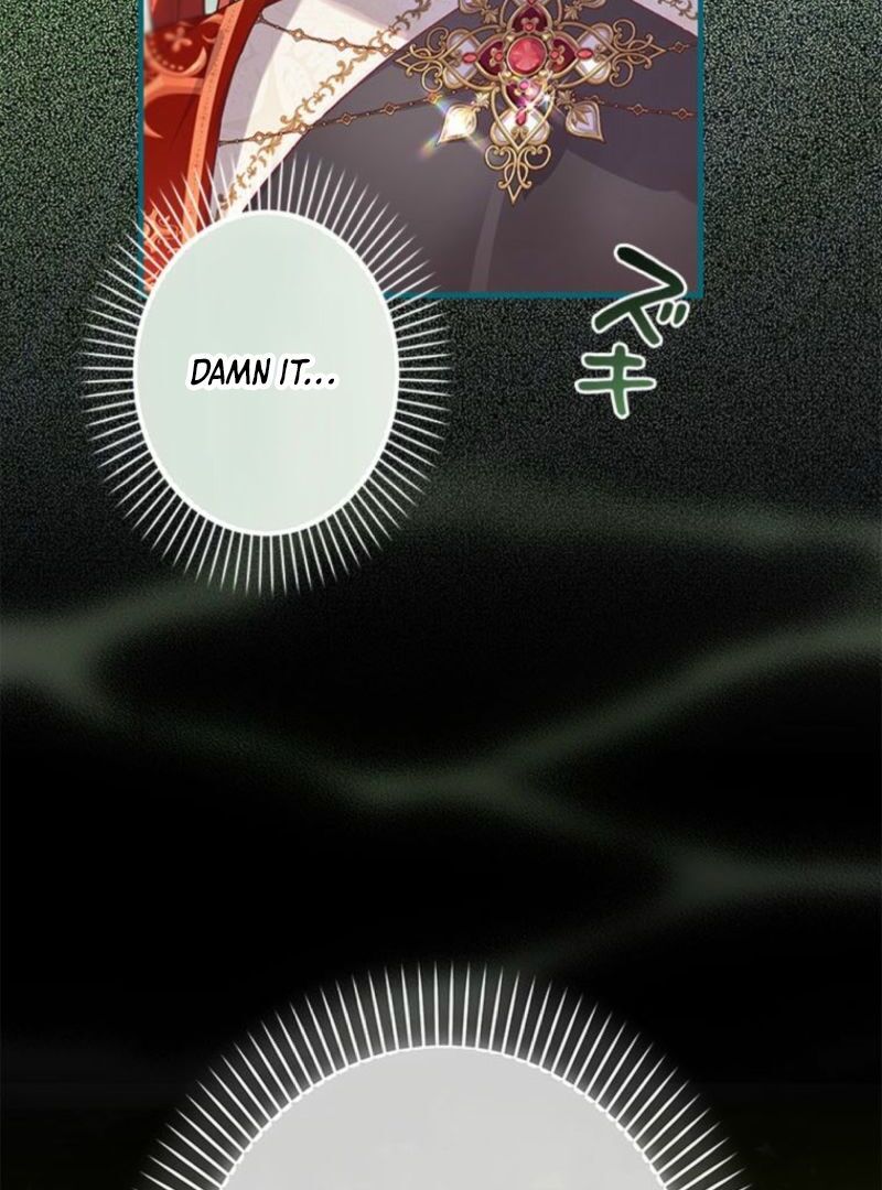 I Will Not be Overshadowed by My Twin Sister in This Life Chapter 13 - Page 27