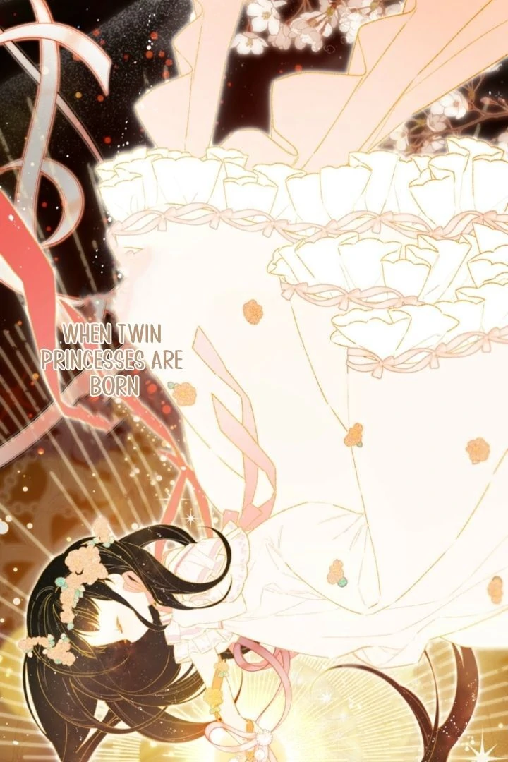 I Will Not be Overshadowed by My Twin Sister in This Life Chapter 2 - Page 41