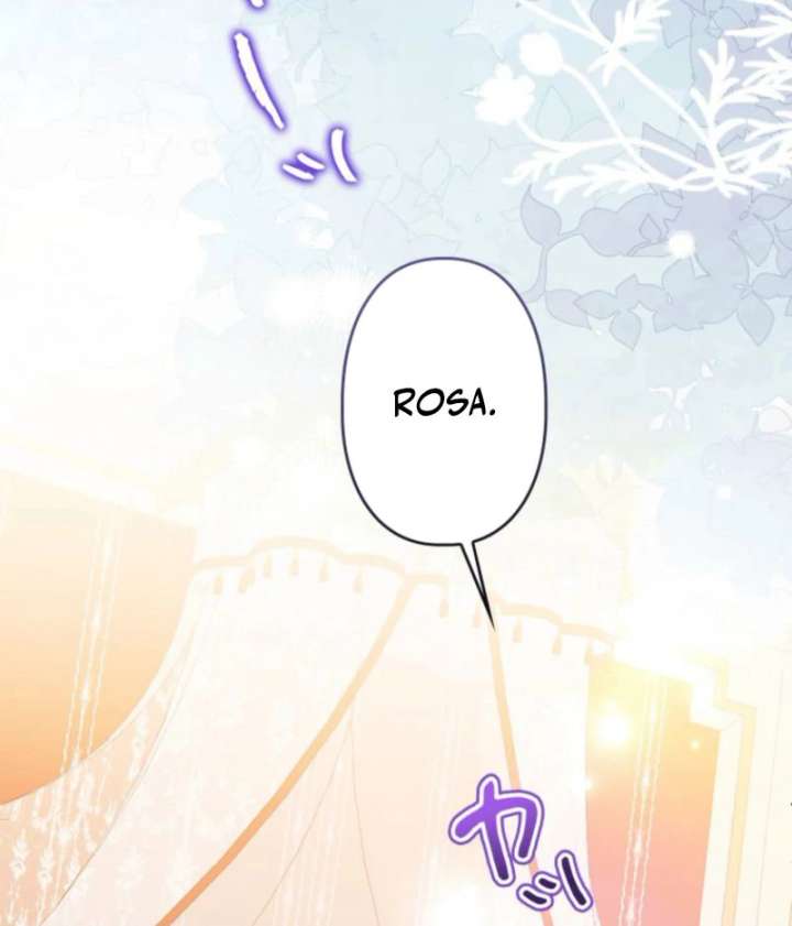 I Will Not be Overshadowed by My Twin Sister in This Life Chapter 24 - Page 65