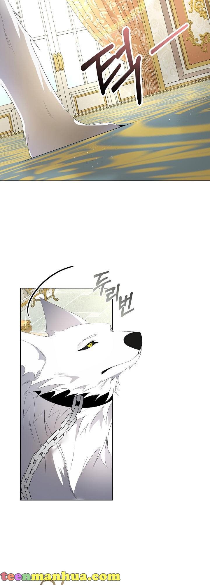 I Will Temporarily Protect the Male Lead Chapter 3 - Page 1