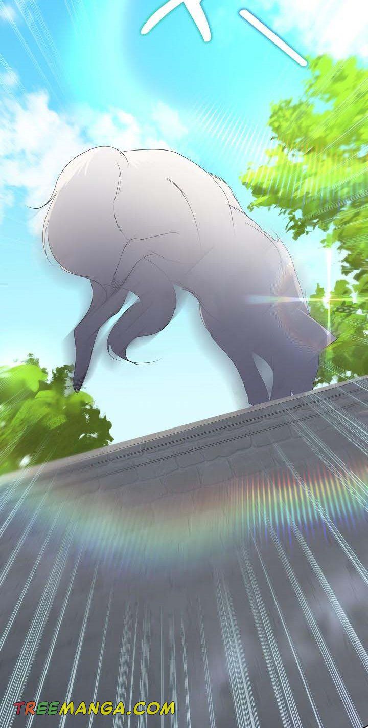 I Will Temporarily Protect the Male Lead Chapter 7 - Page 59