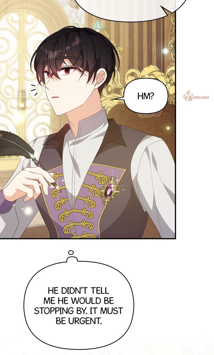I Will Try to Seduce the Male Lead for My Brother Chapter 63 - Page 47