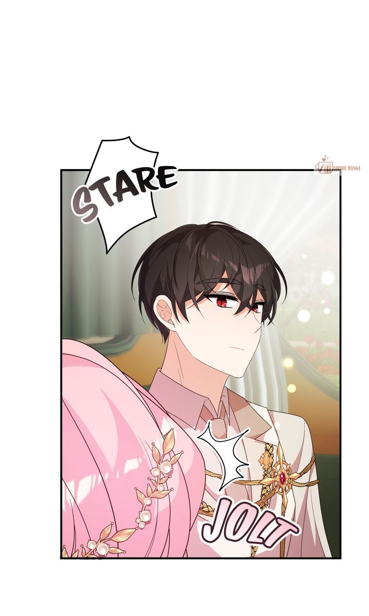 I Will Try to Seduce the Male Lead for My Brother Chapter 67 - Page 41