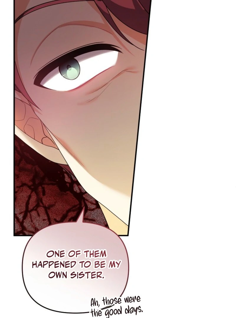I Will Try to Seduce the Male Lead for My Brother Chapter 94 - Page 7