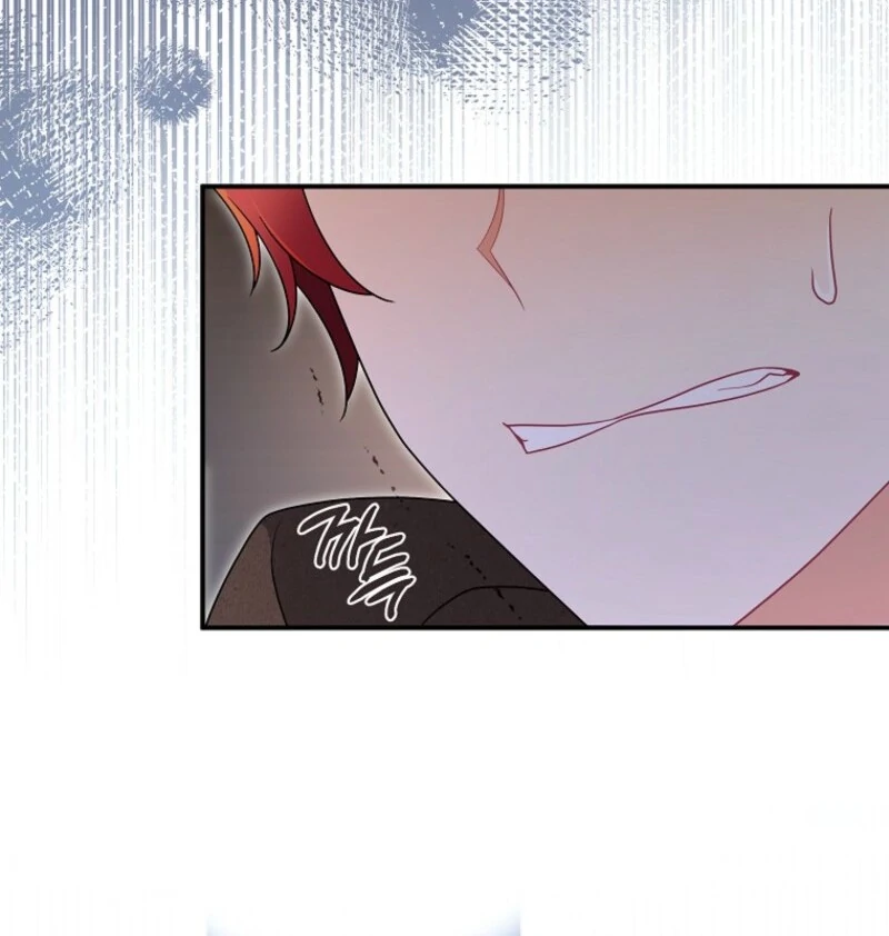 I Will Try to Seduce the Male Lead for My Brother Chapter 95 - Page 14