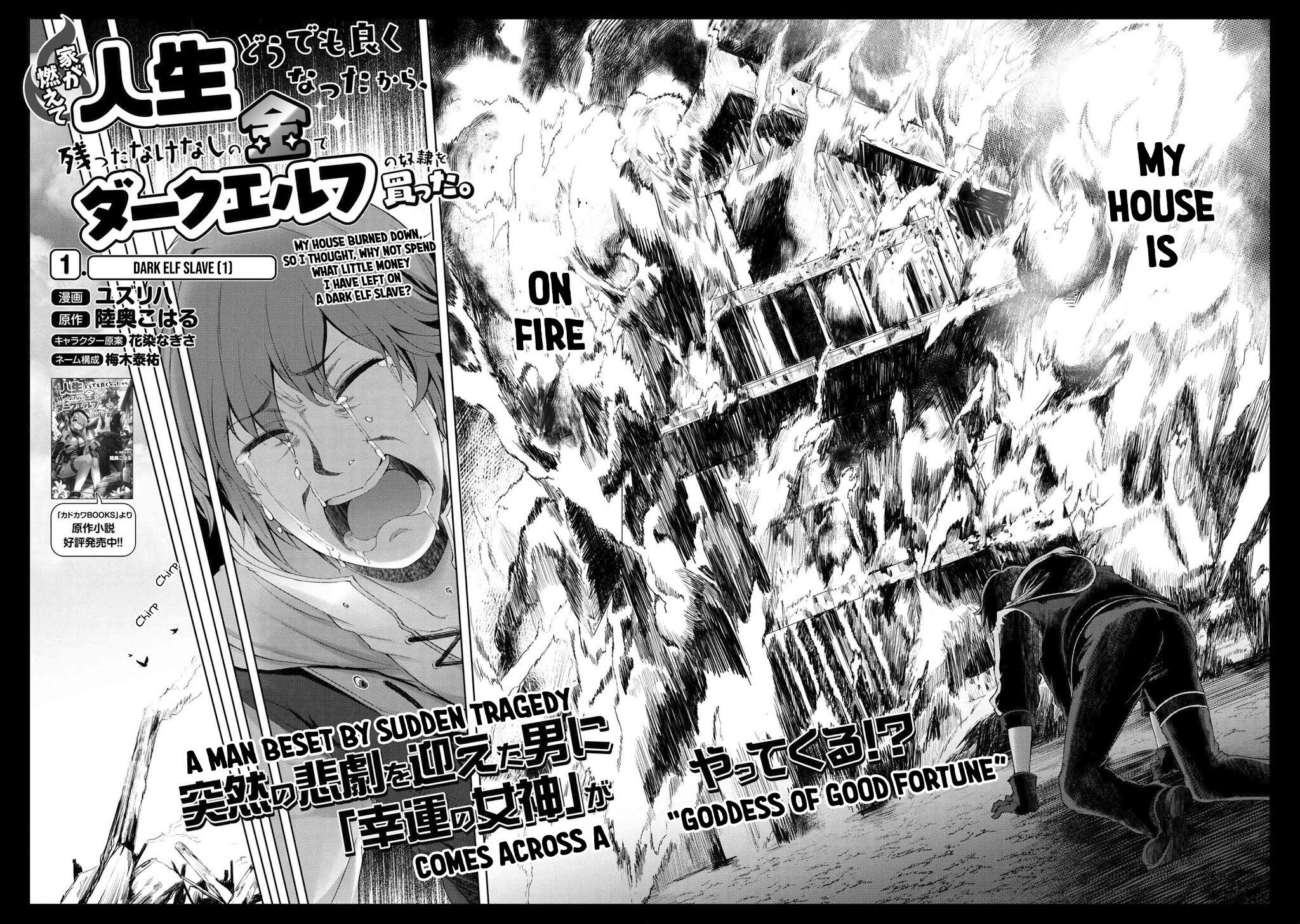 Ie ga Moete Jinsei Dou Demo Yoku Natta kara, Nokotta Nakenashi no Kin de Dark Elf no Dorei o Katta Chapter 1 - Page 3