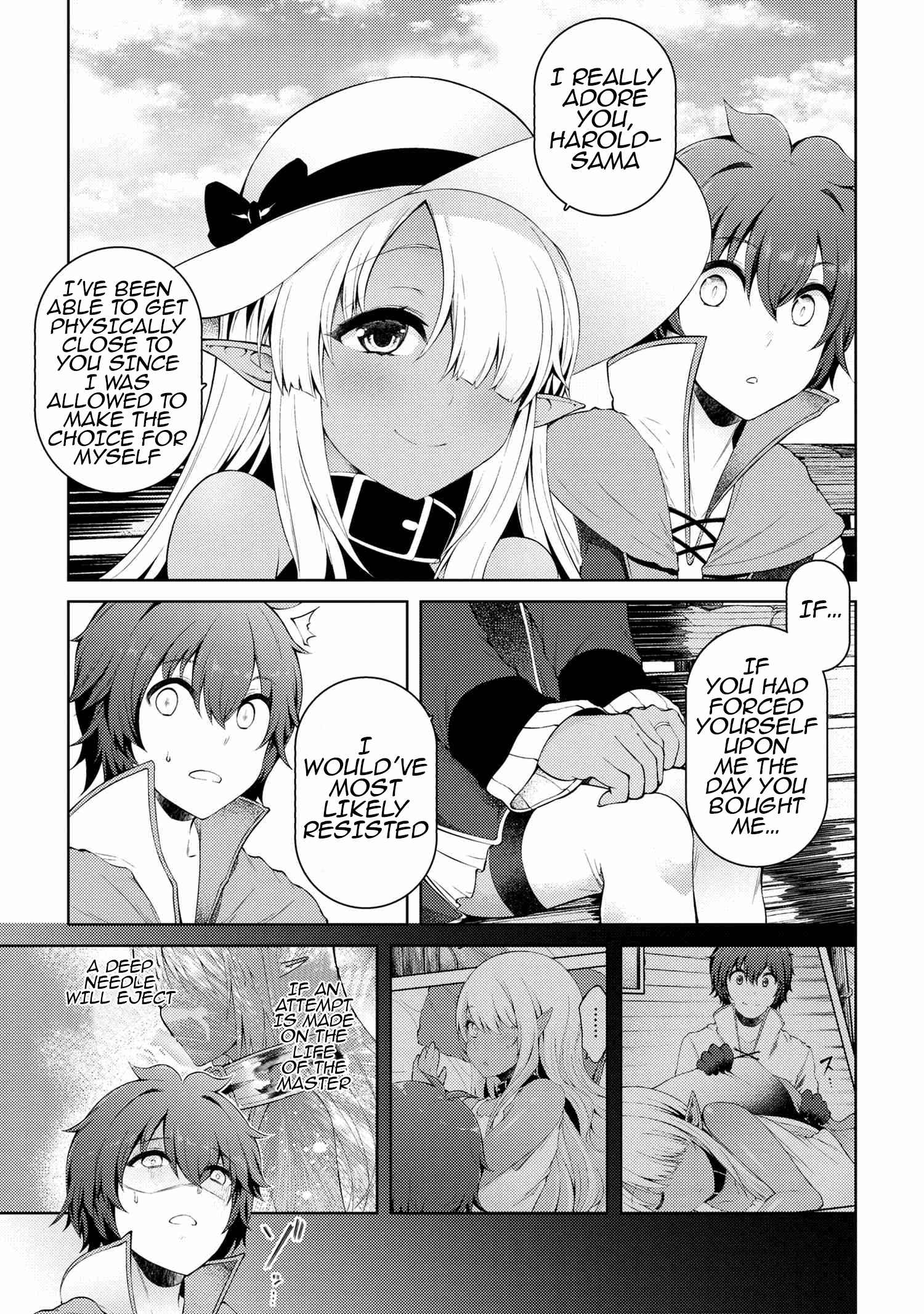 Ie ga Moete Jinsei Dou Demo Yoku Natta kara, Nokotta Nakenashi no Kin de Dark Elf no Dorei o Katta Chapter 11.6 - Page 17