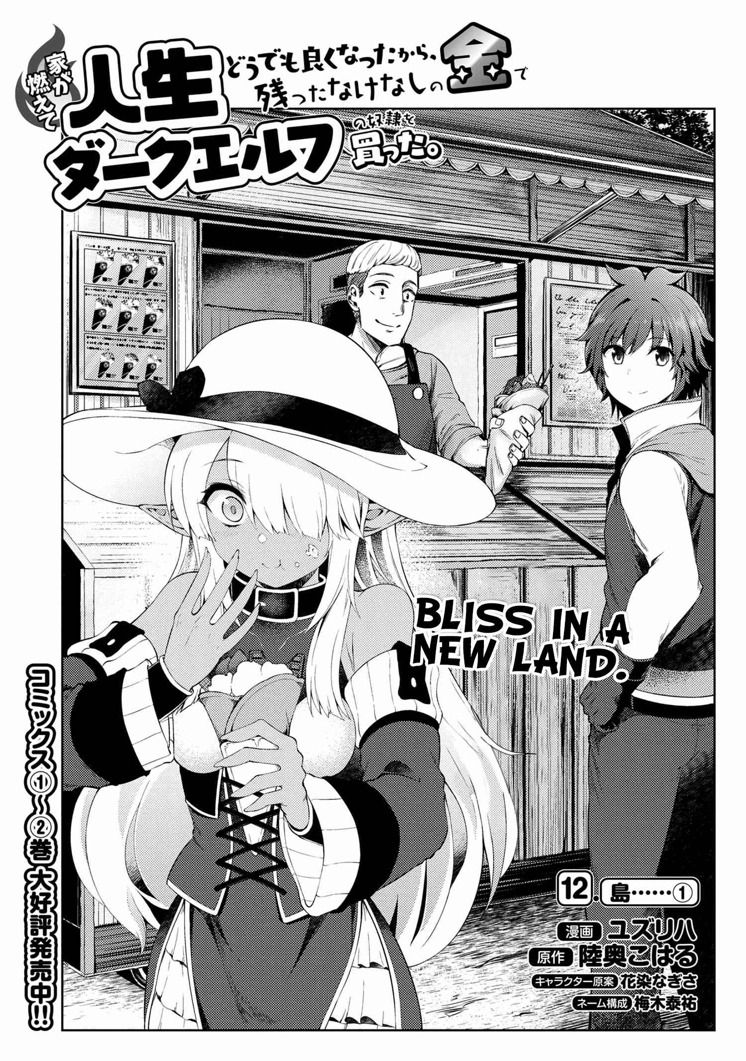 Ie ga Moete Jinsei Dou Demo Yoku Natta kara, Nokotta Nakenashi no Kin de Dark Elf no Dorei o Katta Chapter 12.1 - Page 2
