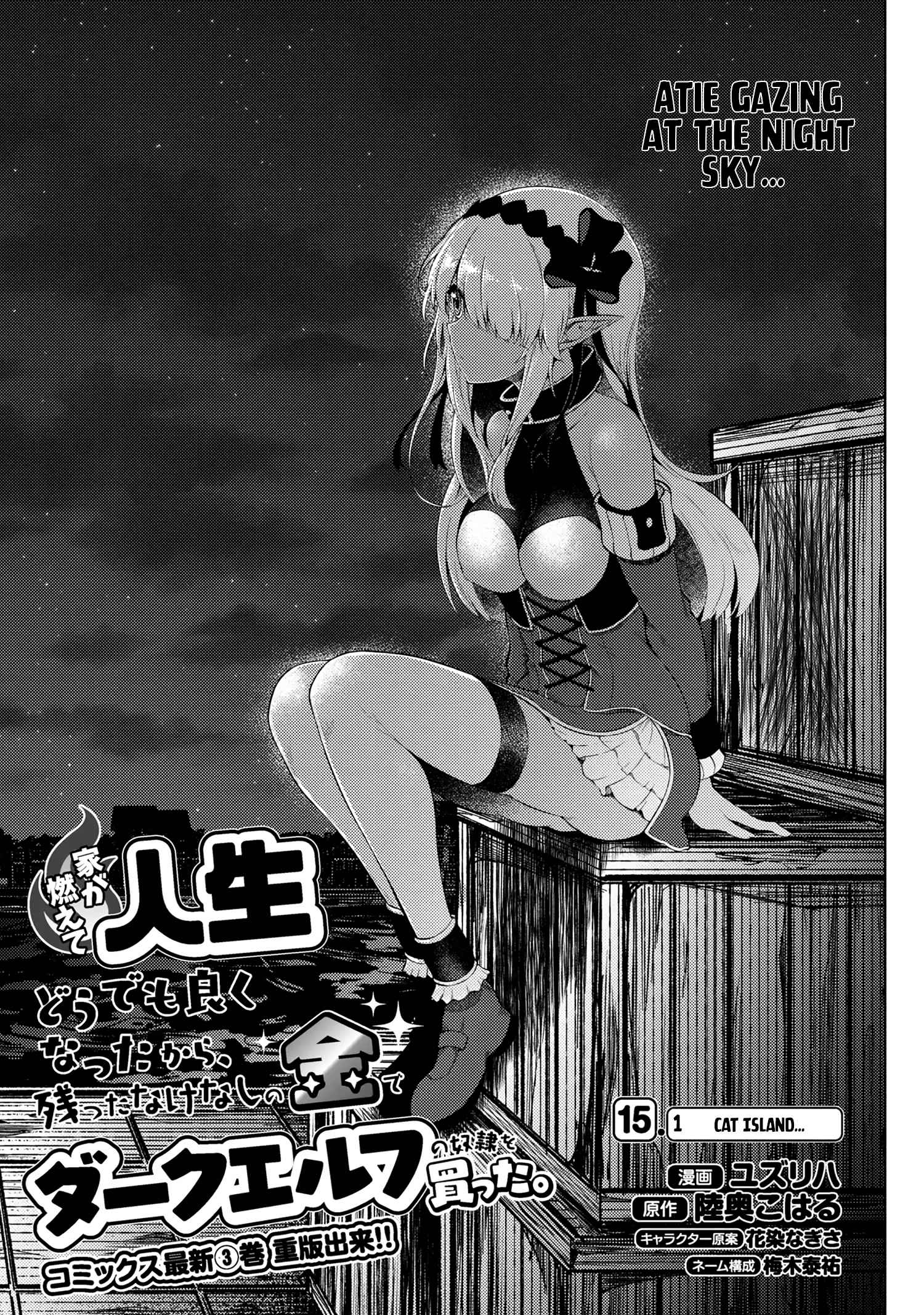 Ie ga Moete Jinsei Dou Demo Yoku Natta kara, Nokotta Nakenashi no Kin de Dark Elf no Dorei o Katta Chapter 15.1 - Page 4