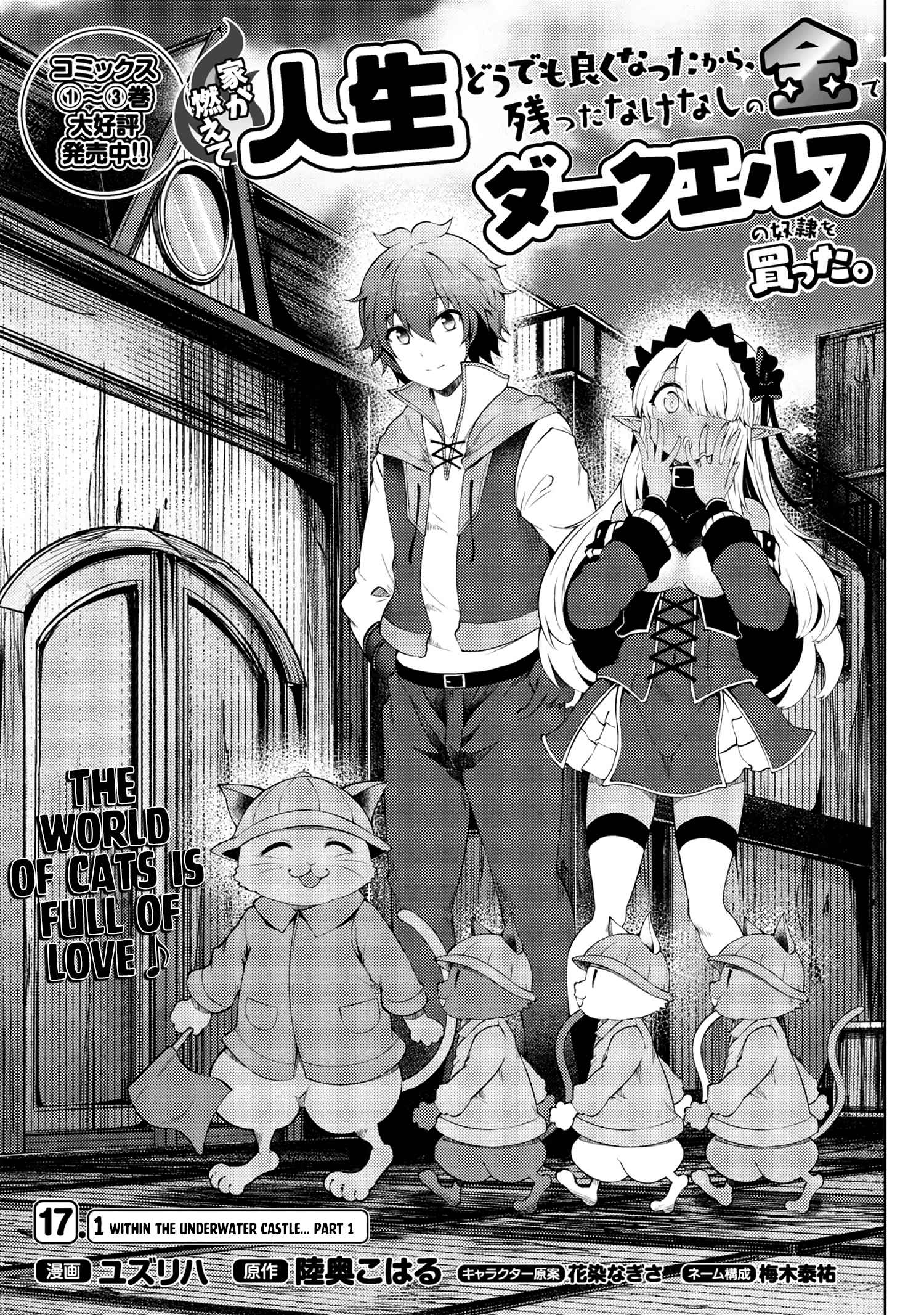 Ie ga Moete Jinsei Dou Demo Yoku Natta kara, Nokotta Nakenashi no Kin de Dark Elf no Dorei o Katta Chapter 17.1 - Page 2