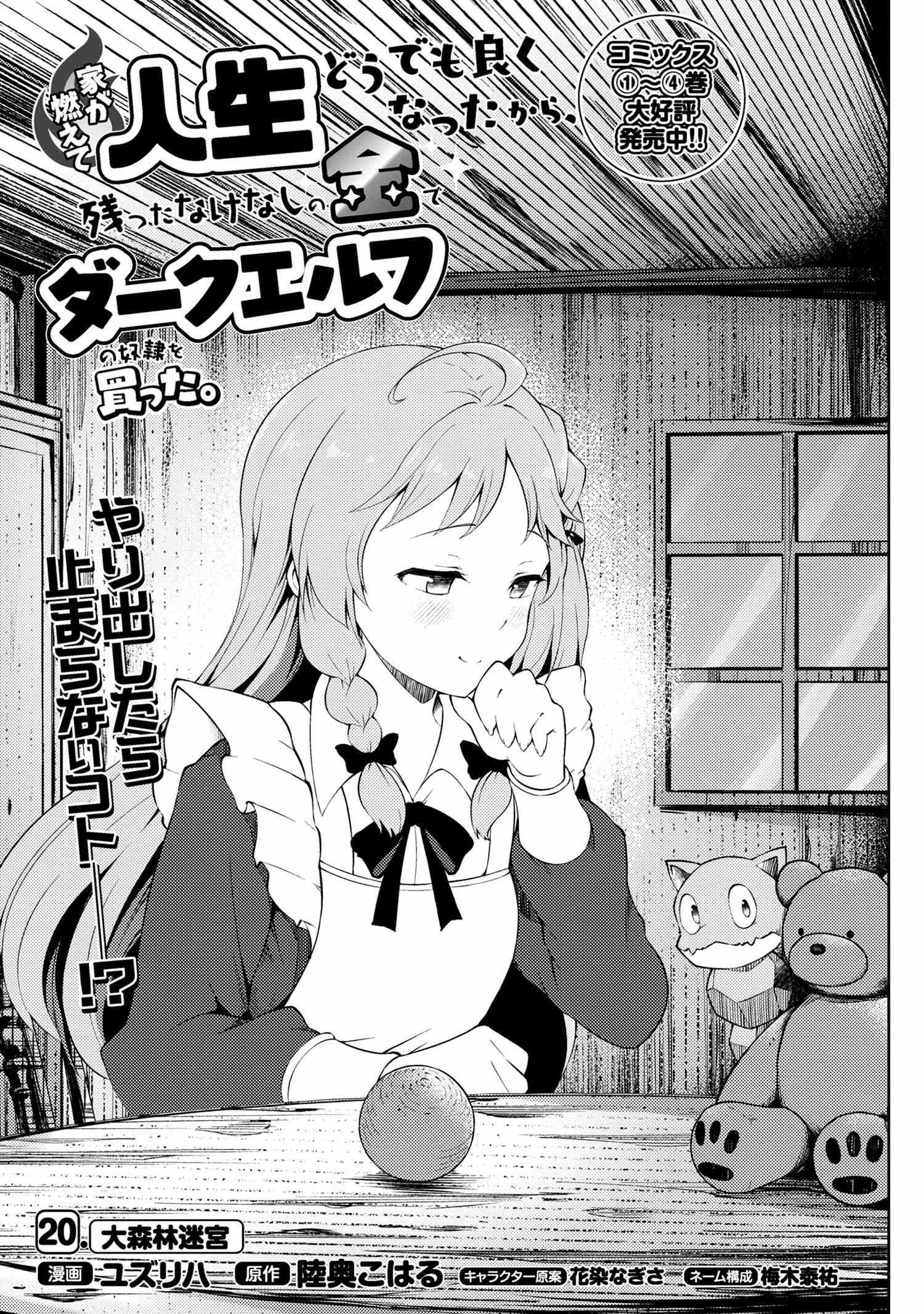 Ie ga Moete Jinsei Dou Demo Yoku Natta kara, Nokotta Nakenashi no Kin de Dark Elf no Dorei o Katta Chapter 20.1 - Page 2