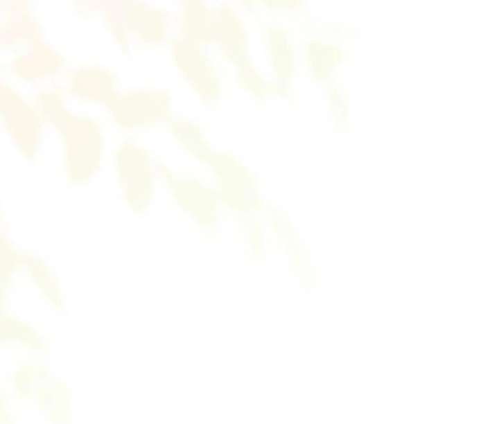 If You Want a Cheeky Sorceress Chapter 21 - Page 37