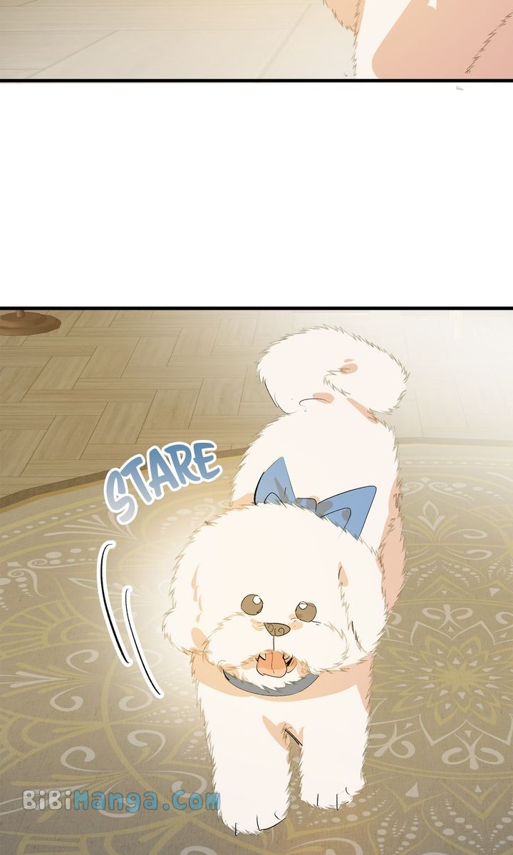 If You Want a Fake Sister Chapter 29 - Page 34