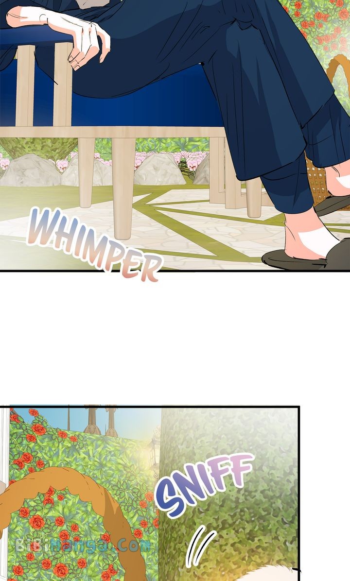 If You Want a Fake Sister Chapter 31 - Page 21