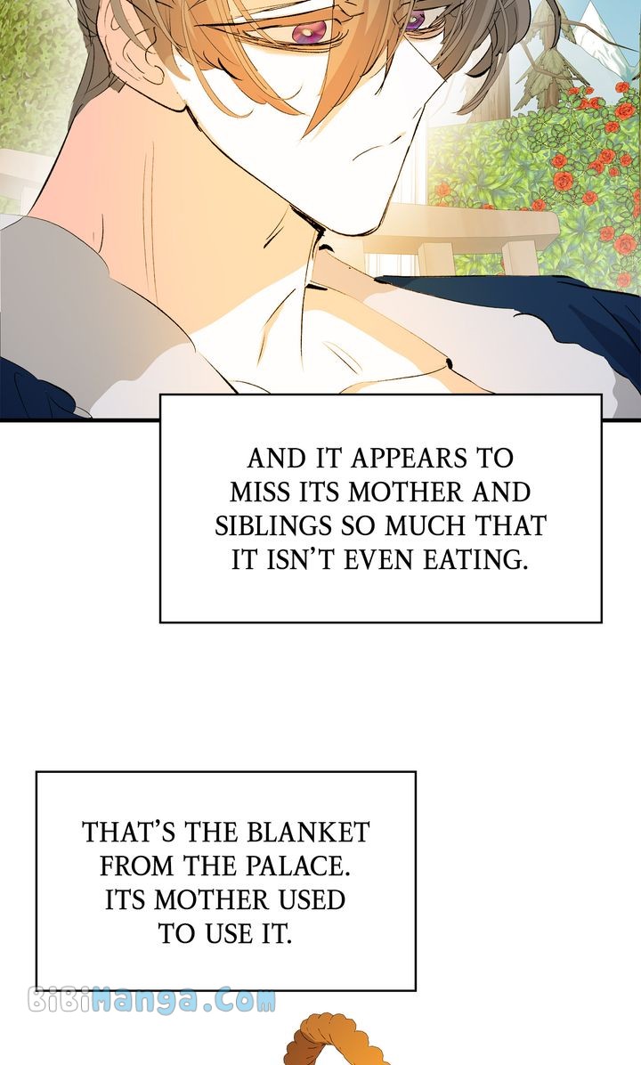 If You Want a Fake Sister Chapter 31 - Page 23