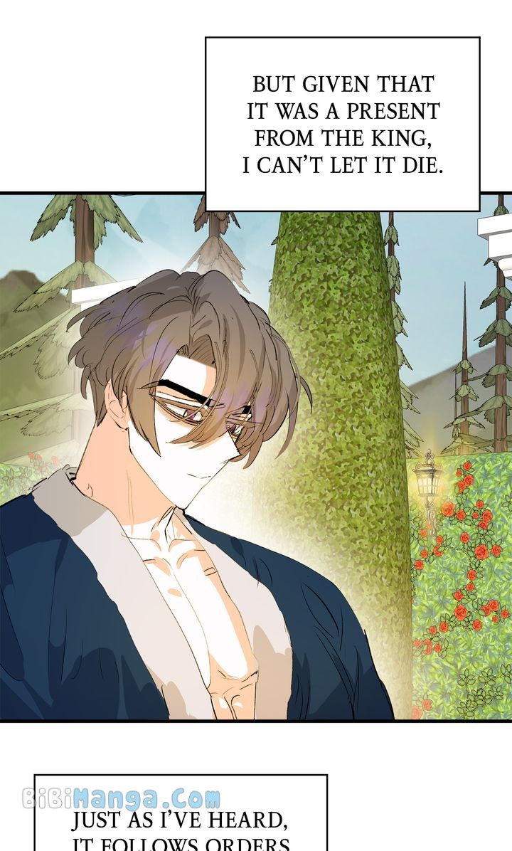 If You Want a Fake Sister Chapter 31 - Page 30