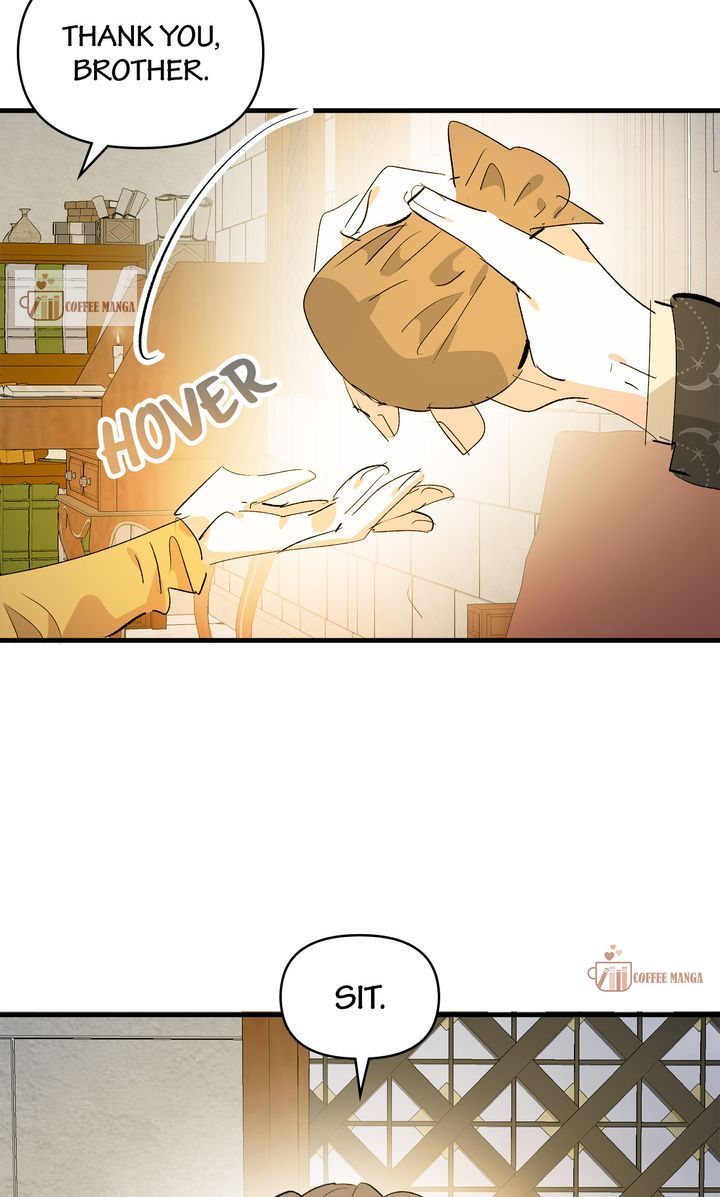If You Want a Fake Sister Chapter 42 - Page 42