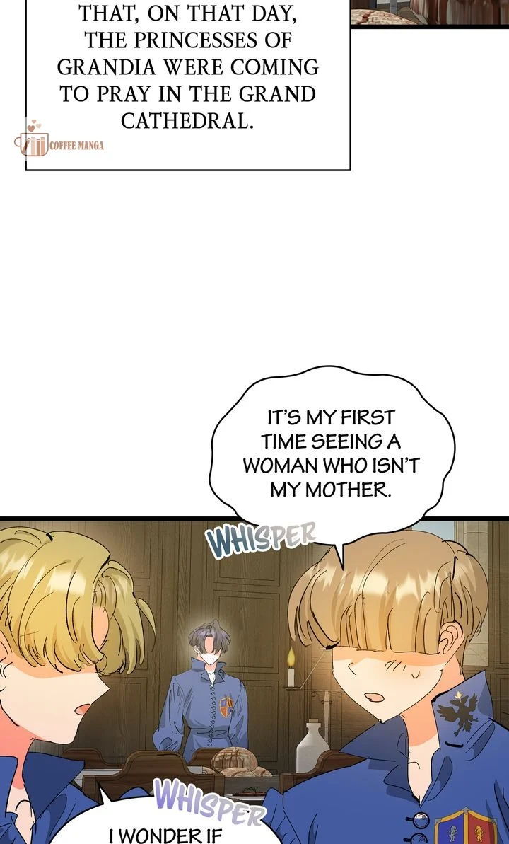 If You Want a Fake Sister Chapter 46 - Page 14