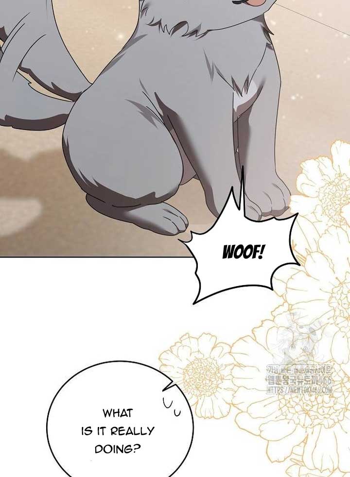 I’ll Take on This Marriage in This Life Chapter 13 - Page 94