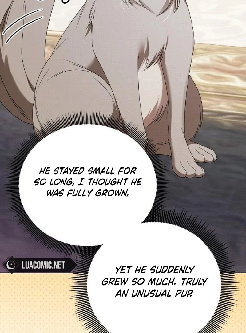 I’ll Take on This Marriage in This Life Chapter 44 - Page 117