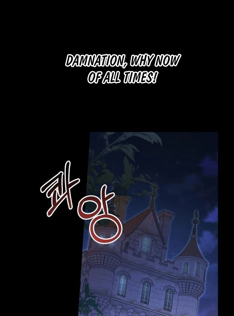 I’ll Take on This Marriage in This Life Chapter 44 - Page 19