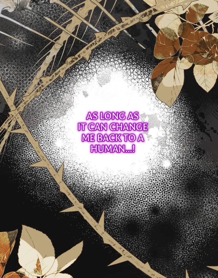 I’m a Doll, but the Tyrant Is Obsessed With Me Chapter 36 - Page 41
