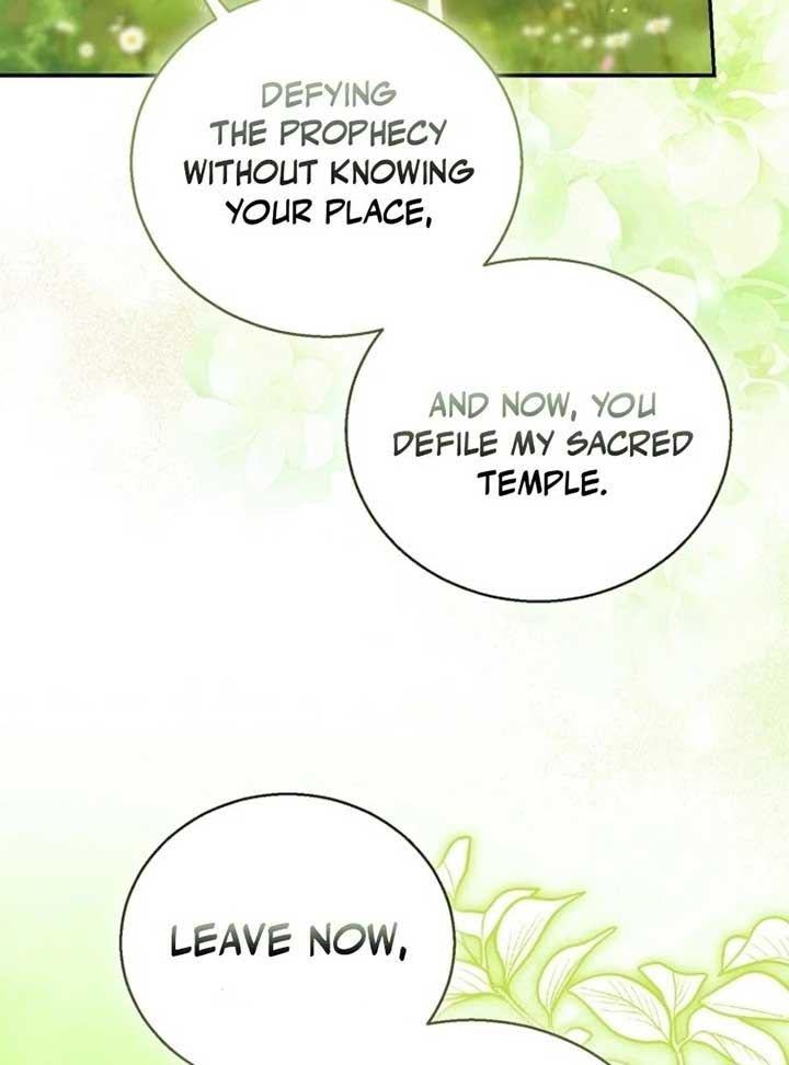 I’m a Fake Saintess but the Gods Are Obsessed Chapter 109 - Page 27