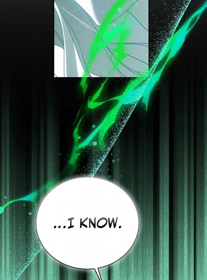I’m a Fake Saintess but the Gods Are Obsessed Chapter 109 - Page 93