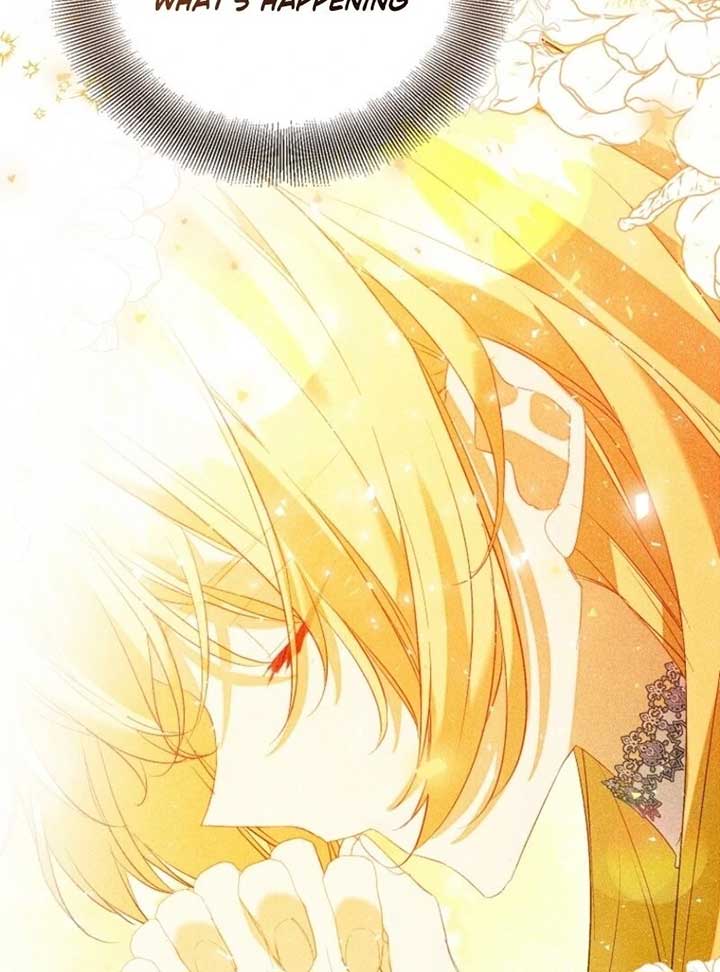 I’m a Fake Saintess but the Gods Are Obsessed Chapter 110 - Page 154
