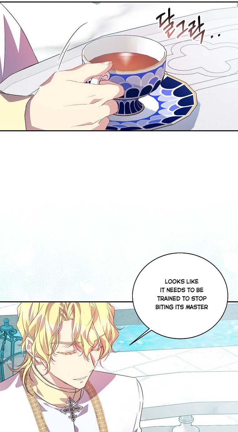 I’m a Fake Saintess but the Gods Are Obsessed Chapter 14 - Page 36