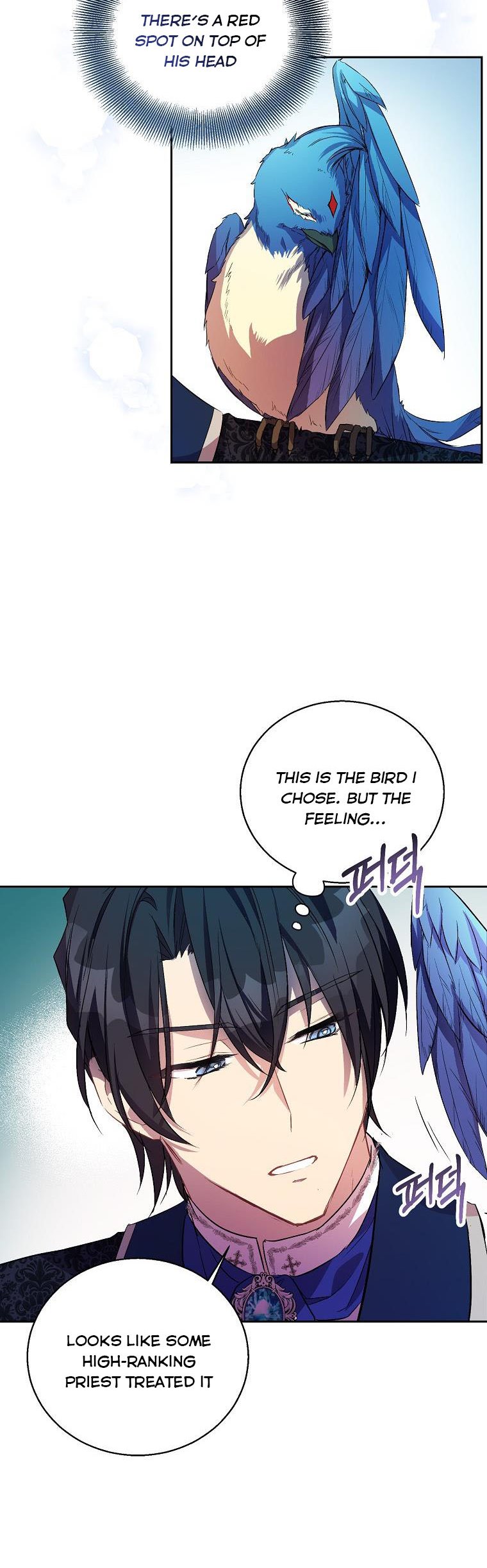 I’m a Fake Saintess but the Gods Are Obsessed Chapter 15 - Page 8