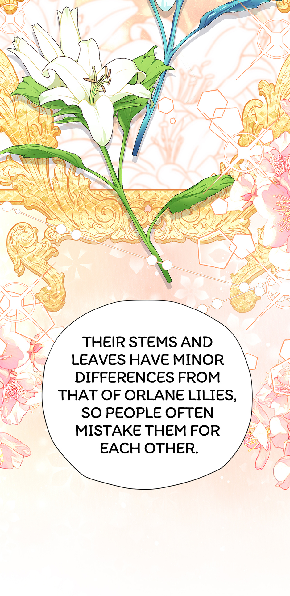 I’m in Love with My Foe Chapter 81 - Page 11