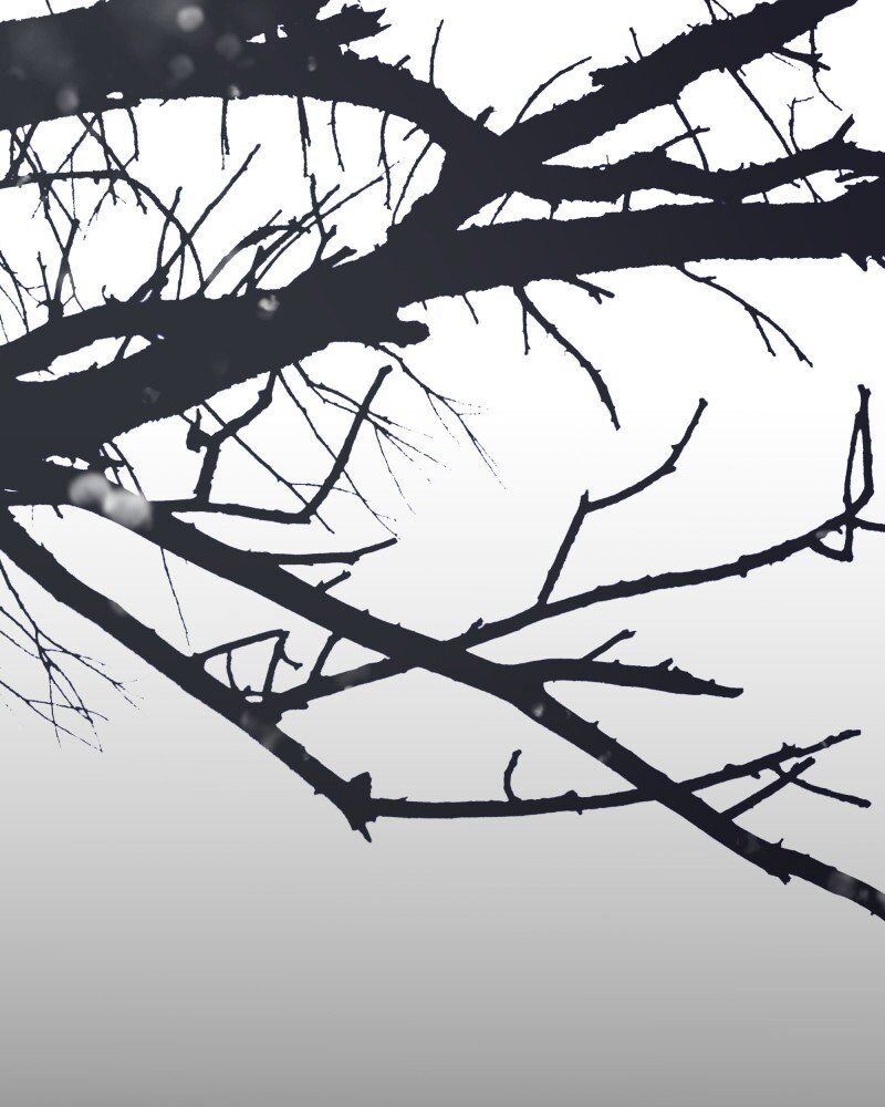 I’m the Grim Reaper Chapter 46 - Page 127